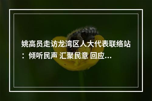 姚高员走访龙湾区人大代表联络站：倾听民声 汇聚民意 回应民盼