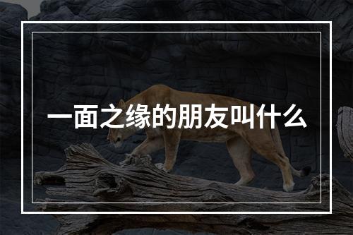 一面之缘的朋友叫什么