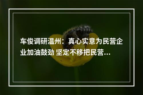 车俊调研温州：真心实意为民营企业加油鼓劲 坚定不移把民营经济做强做优