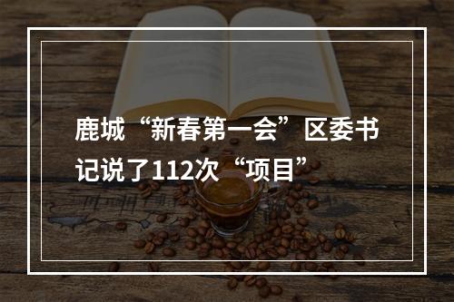 鹿城“新春第一会”区委书记说了112次“项目”