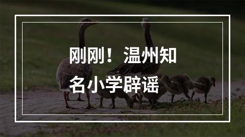 刚刚！温州知名小学辟谣