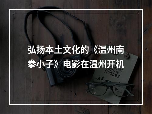 弘扬本土文化的《温州南拳小子》电影在温州开机