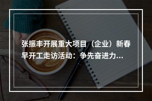 张振丰开展重大项目（企业）新春早开工走访活动：争先奋进力夺“一季稳、开门红”