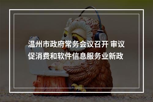 温州市政府常务会议召开 审议促消费和软件信息服务业新政