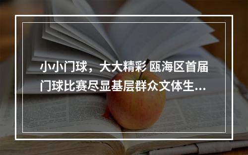 小小门球，大大精彩 瓯海区首届门球比赛尽显基层群众文体生活新风貌