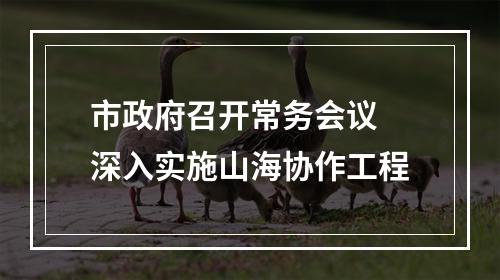 市政府召开常务会议 深入实施山海协作工程