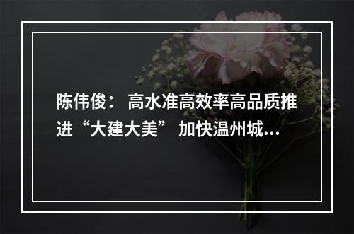 陈伟俊： 高水准高效率高品质推进“大建大美” 加快温州城市精彩蝶变华丽转身