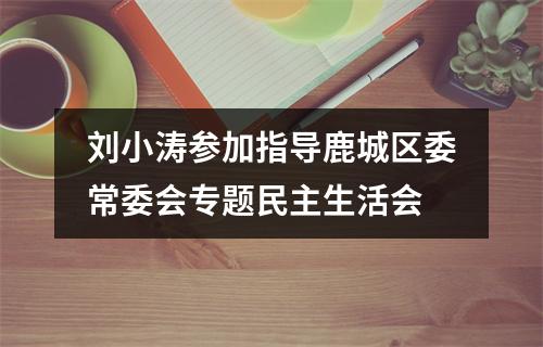 刘小涛参加指导鹿城区委常委会专题民主生活会