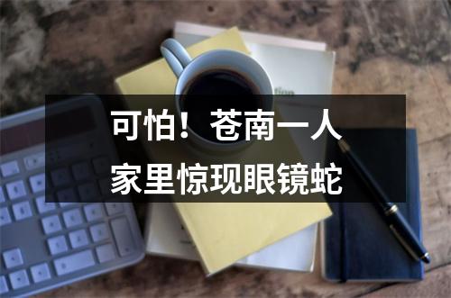 可怕！苍南一人家里惊现眼镜蛇