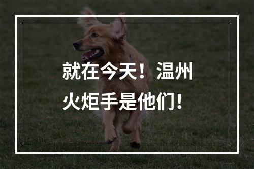就在今天！温州火炬手是他们！