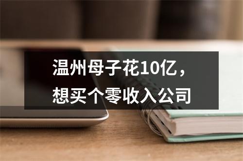 温州母子花10亿，想买个零收入公司