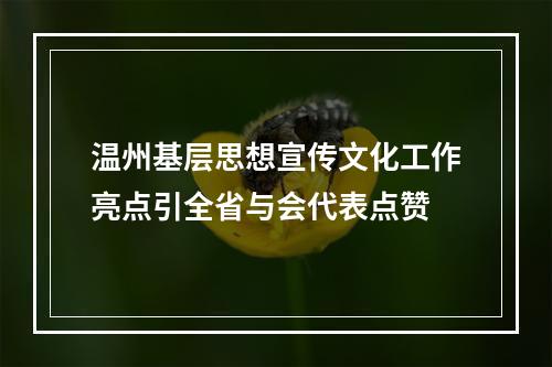 温州基层思想宣传文化工作亮点引全省与会代表点赞