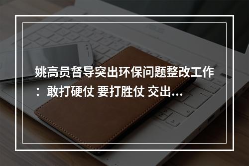 姚高员督导突出环保问题整改工作：敢打硬仗 要打胜仗 交出一份群众满意的环保答卷