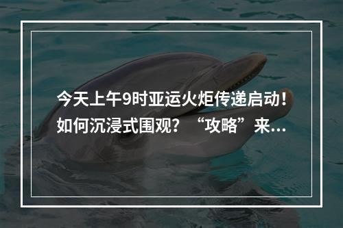 今天上午9时亚运火炬传递启动！如何沉浸式围观？“攻略”来了