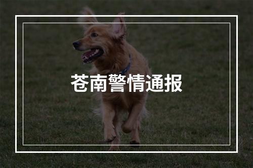 苍南警情通报