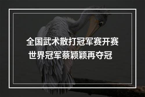 全国武术散打冠军赛开赛 世界冠军蔡颖颖再夺冠