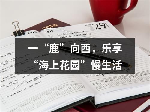 一“鹿”向西，乐享“海上花园”慢生活