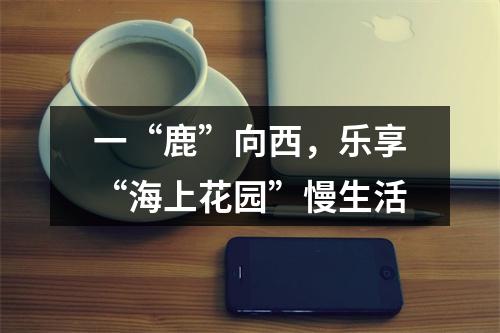 一“鹿”向西，乐享“海上花园”慢生活