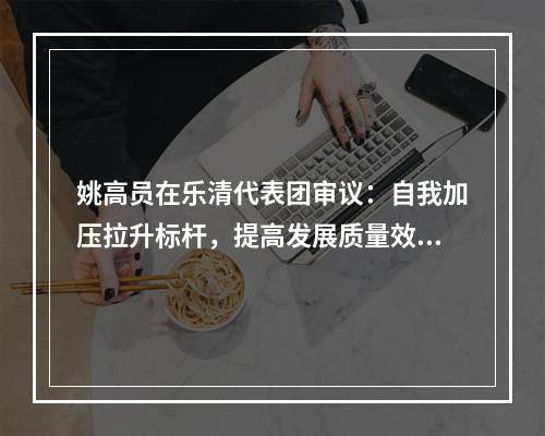 姚高员在乐清代表团审议：自我加压拉升标杆，提高发展质量效益