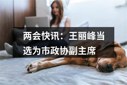 两会快讯：王丽峰当选为市政协副主席