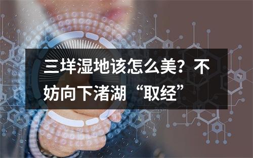 三垟湿地该怎么美？不妨向下渚湖“取经”