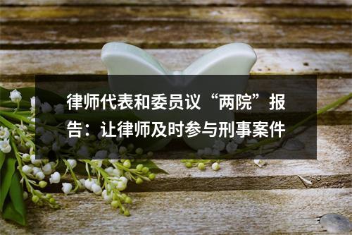 律师代表和委员议“两院”报告：让律师及时参与刑事案件