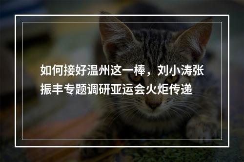 如何接好温州这一棒，刘小涛张振丰专题调研亚运会火炬传递
