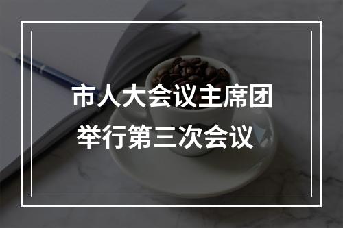 市人大会议主席团 举行第三次会议