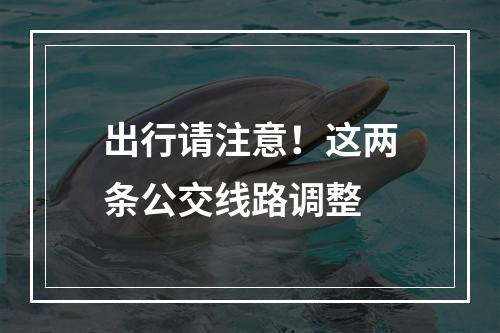 出行请注意！这两条公交线路调整