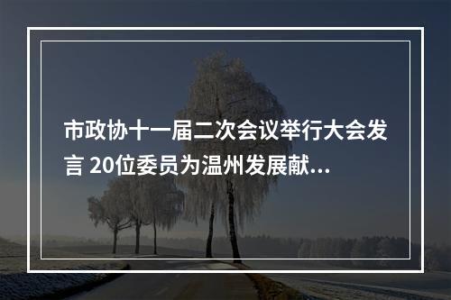 市政协十一届二次会议举行大会发言 20位委员为温州发展献上“金点子”