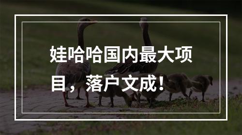 娃哈哈国内最大项目，落户文成！