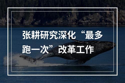 张耕研究深化“最多跑一次”改革工作