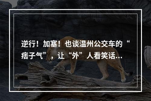 逆行！加塞！也谈温州公交车的“痞子气”，让“外”人看笑话！