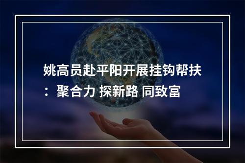姚高员赴平阳开展挂钩帮扶：聚合力 探新路 同致富