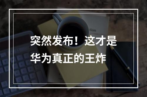 突然发布！这才是华为真正的王炸