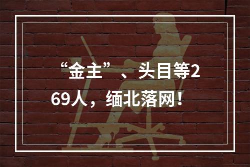 “金主”、头目等269人，缅北落网！