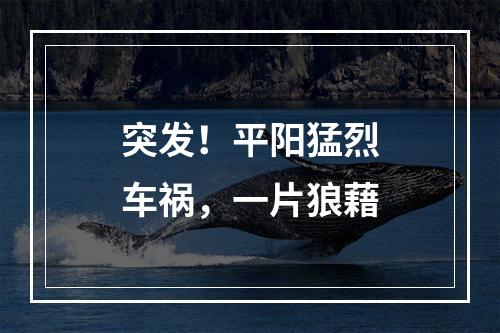 突发！平阳猛烈车祸，一片狼藉