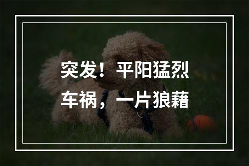 突发！平阳猛烈车祸，一片狼藉