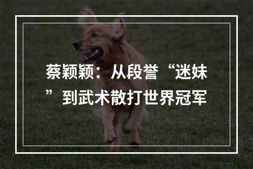蔡颖颖：从段誉“迷妹”到武术散打世界冠军