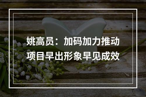 姚高员：加码加力推动项目早出形象早见成效