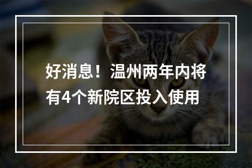 好消息！温州两年内将有4个新院区投入使用