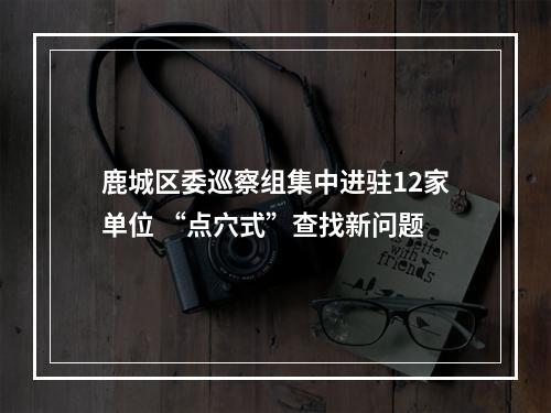 鹿城区委巡察组集中进驻12家单位 “点穴式”查找新问题