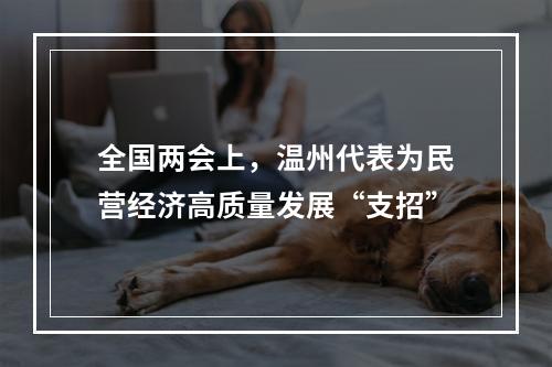 全国两会上，温州代表为民营经济高质量发展“支招”