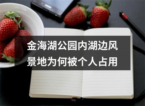 金海湖公园内湖边风景地为何被个人占用