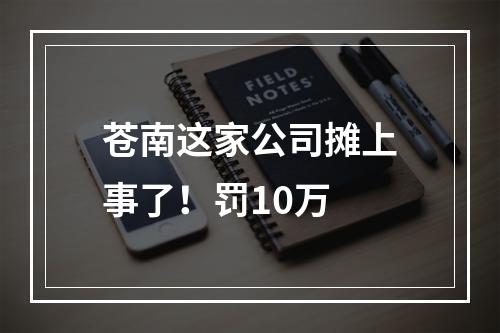 苍南这家公司摊上事了！罚10万