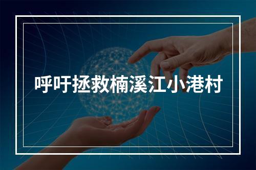 呼吁拯救楠溪江小港村