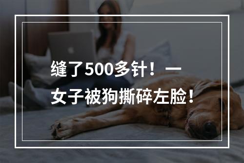 缝了500多针！一女子被狗撕碎左脸！