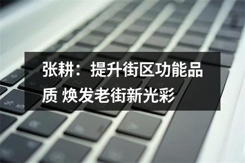 张耕：提升街区功能品质 焕发老街新光彩