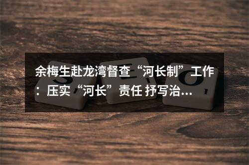 余梅生赴龙湾督查“河长制”工作：压实“河长”责任 抒写治水新篇
