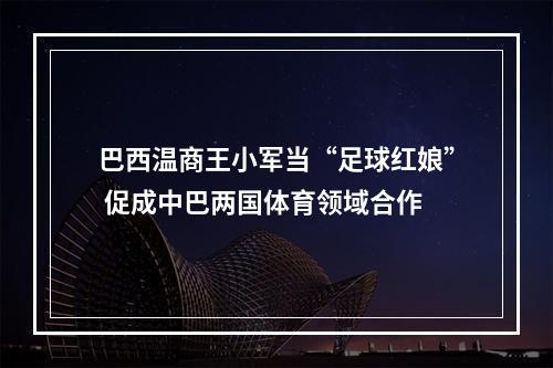 巴西温商王小军当“足球红娘” 促成中巴两国体育领域合作